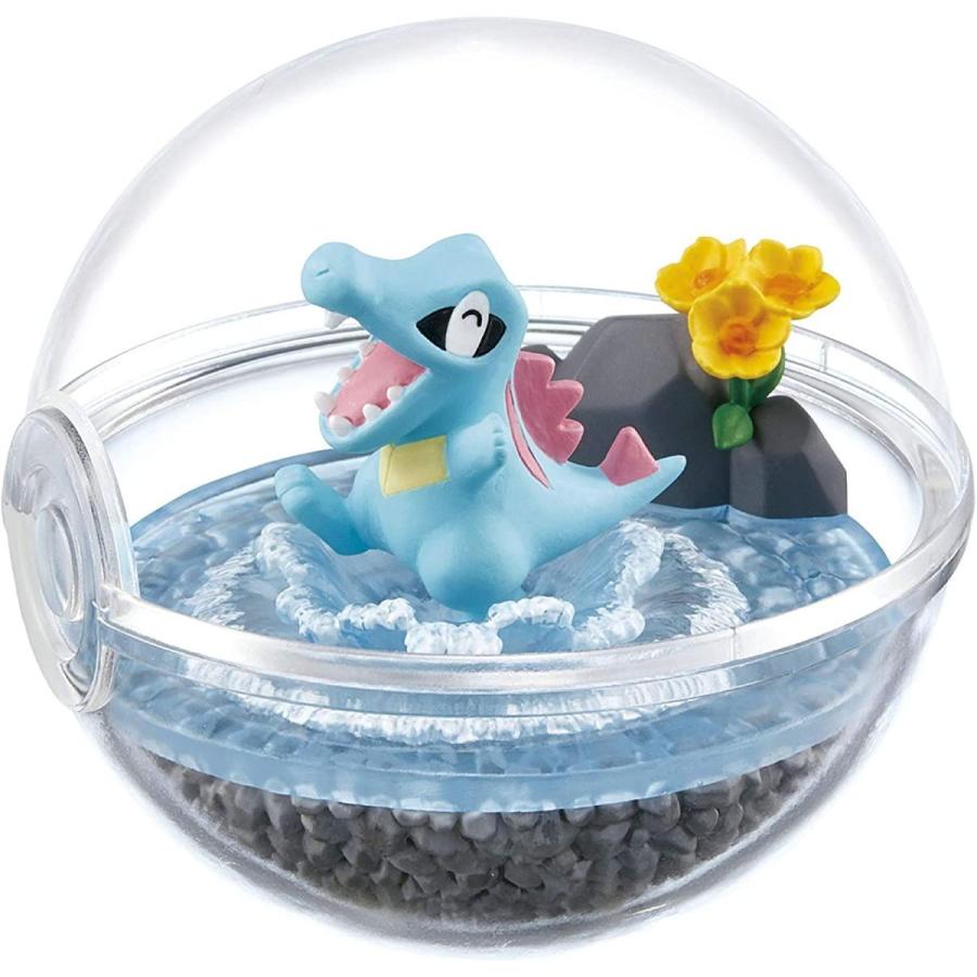 メール便なら送料無料 ポケモンテラリウムコレクション4 フルコンプ 6個入 食玩 ガム ポケモン 年最新海外 Www Doctor Plan Com