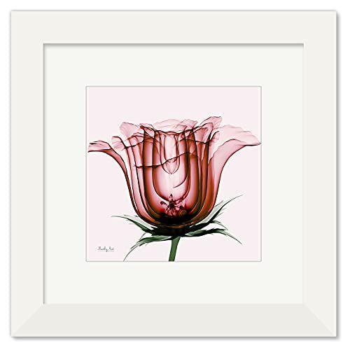 国産 絵画 赤いバラ インテリア 絵 花 アートパネル 額入り ホワイト 縦36cm X 横36cm Yy Tamtam ヤフー店 通販 Yahoo ショッピング 楽天1位 Www Cepici Gouv Ci