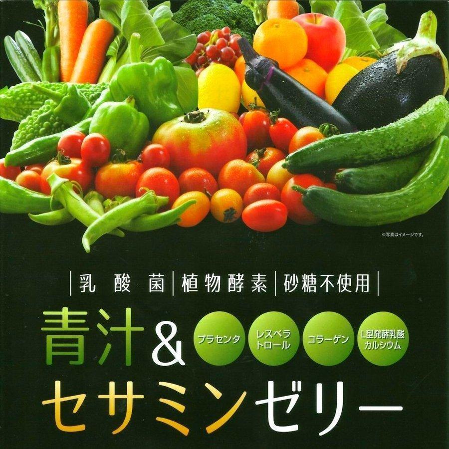 青汁ゼリー 乳酸菌 青汁 酵素 効果 1箱 30包入 スティック セサミン 植物酵素 砂糖不使用 すだち風味｜tamura4193｜05