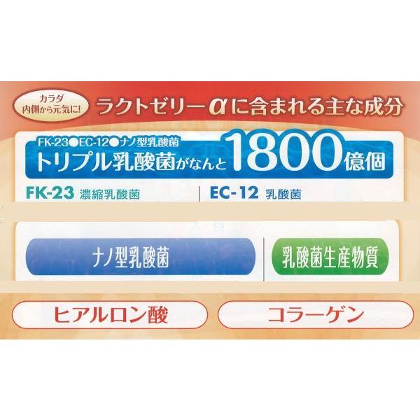 母の日 2026 乳酸菌ゼリー ラクトゼリー 30包入り×2個 ギフト