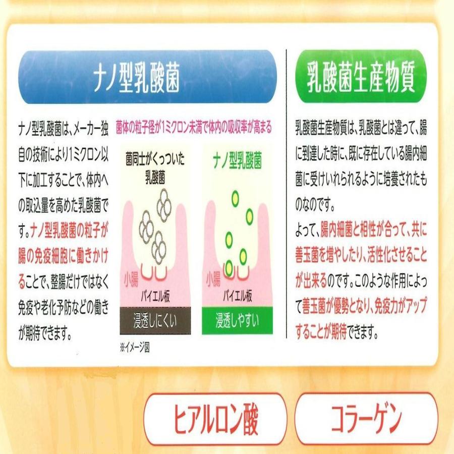 乳酸菌 サプリメント ラクトゼリーα3個 FK-23 オリゴ糖 菌活 ギフト