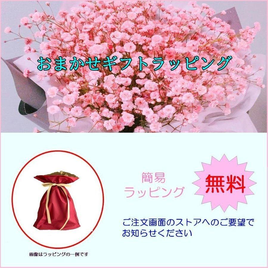 BellaVivo保湿ジェル 3個セット オールインワンジェル 大容量 時短