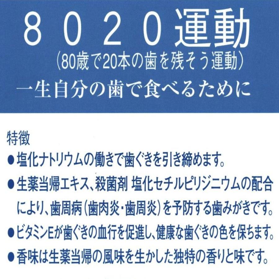 薬用ぎょくせい80 歯磨き粉 歯周病予防 殺菌剤CPC配合 ソルト 3個｜tamura4193｜04