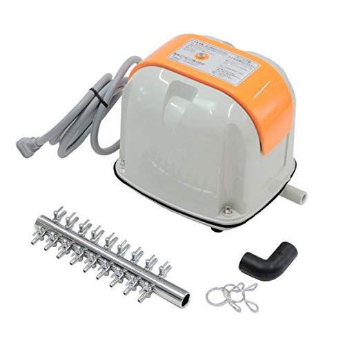 正規品 Ap 40p １８方分岐装置付き 安永エアポンプ 水槽 エアーポンプ ブロア 高質で安価 Zoetalentsolutions Com