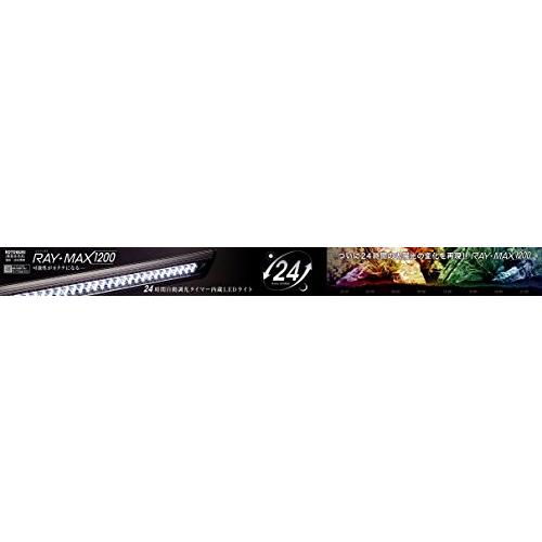 楽天市場 寿工芸 レイマックス 10 正規品 Www Gettoknowmontco Com