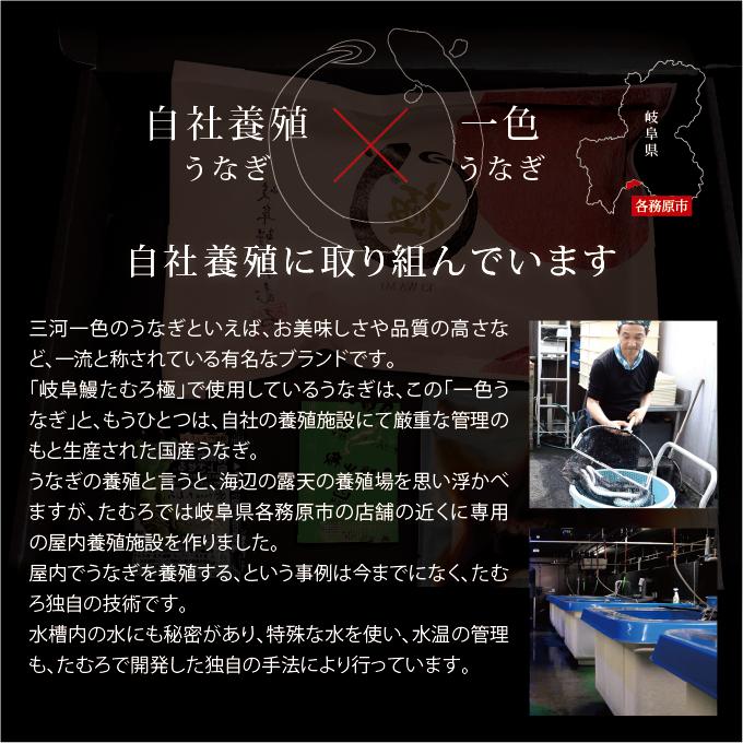 【たむろ極 幻のめすうなぎ艶鰻】国産うなぎ蒲焼4尾＋肝付き（4〜6人前）【うな丼専用（タレ多め）・焼き加減／普通】送料無料 贈り物にも最適 三河一色産_10