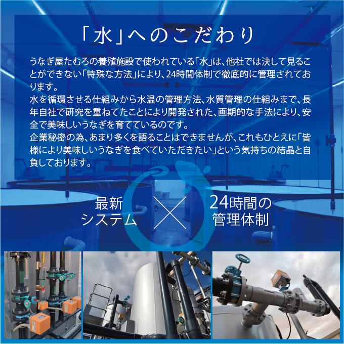【たむろ極 幻のめすうなぎ艶鰻】国産うなぎ蒲焼4尾＋肝付き（4〜6人前）【うな丼専用（タレ多め）・焼き加減／普通】送料無料 贈り物にも最適 三河一色産_19