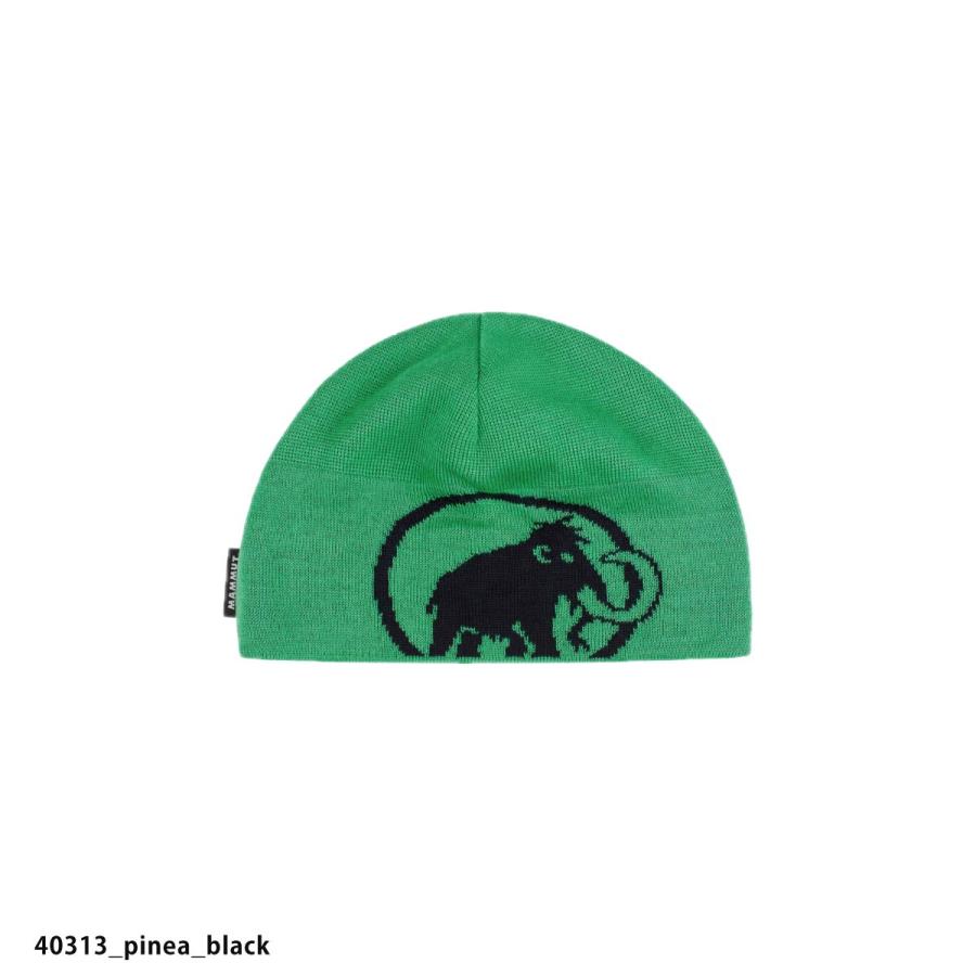 MAMMUT マムート スキーニット帽 ヘッドウェア メンズ レディース＜2026＞1191-01352 / Tweak Beanie スーパーセール | MAMMUT | 09