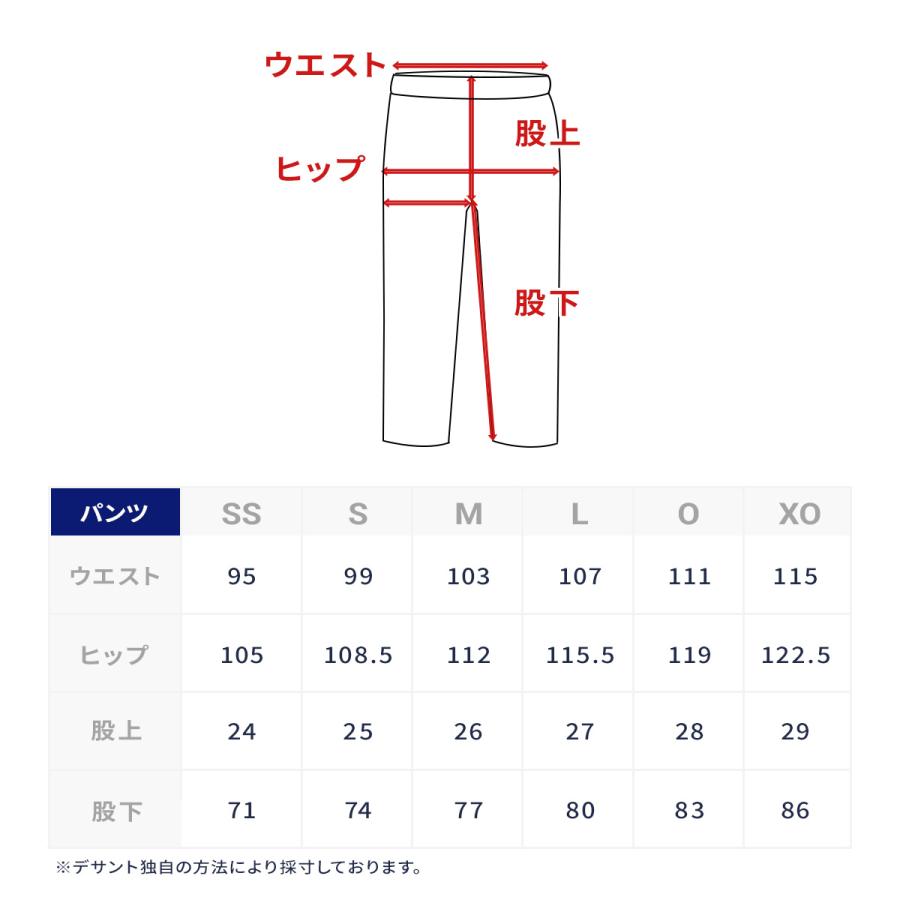 DESCENTE（デサント） スキーウェア パンツ メンズ レディース＜2026