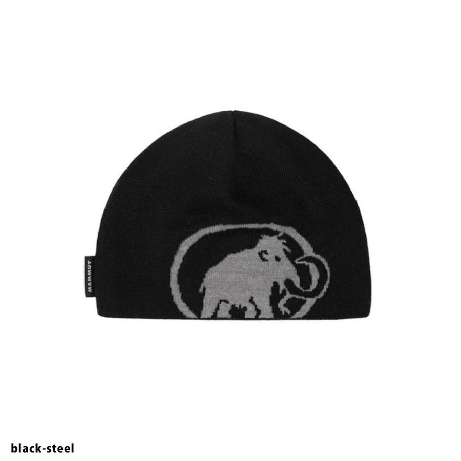 MAMMUT マムート スキーニット帽 ユニセックス＜2027＞1191-01352 / Tweak Beanie | MAMMUT | 01
