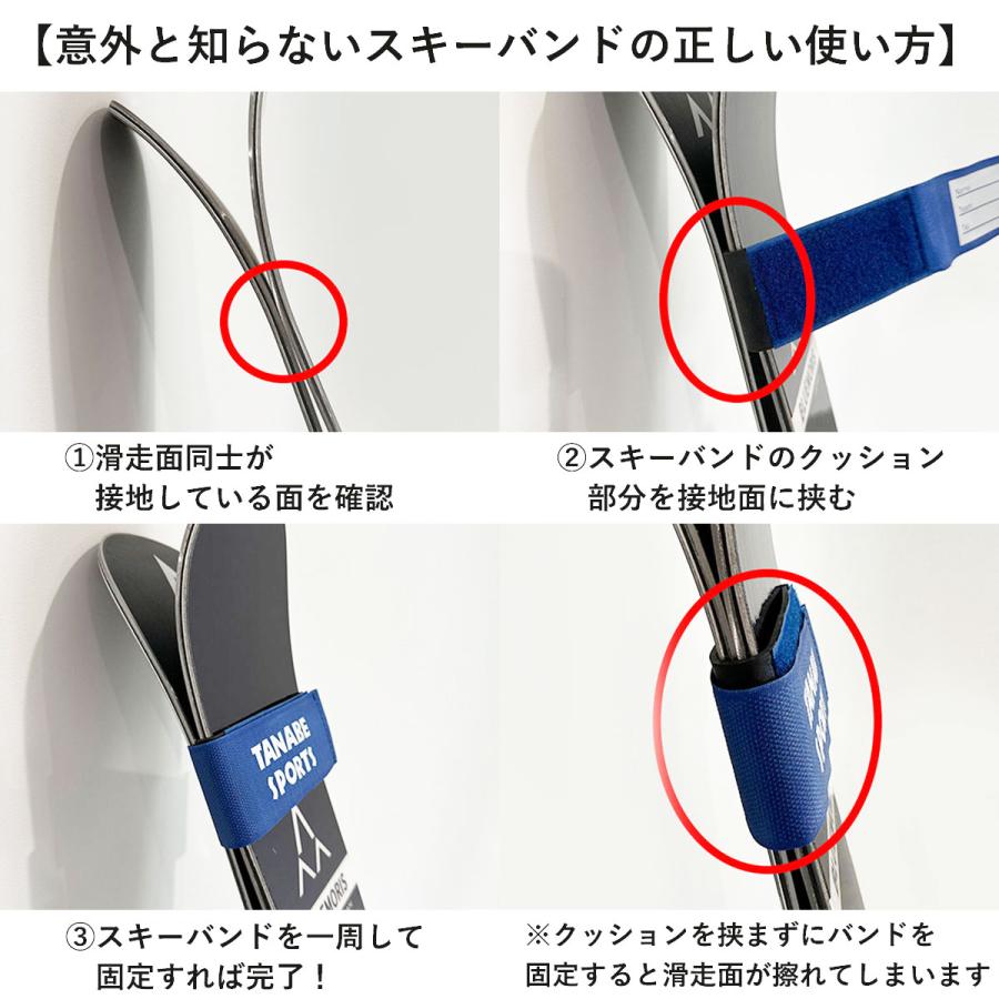 TANABE SPORTS オリジナルスキーバンド 2本1セット〔ブルー〕 スキー | ブランド登録なし | 02
