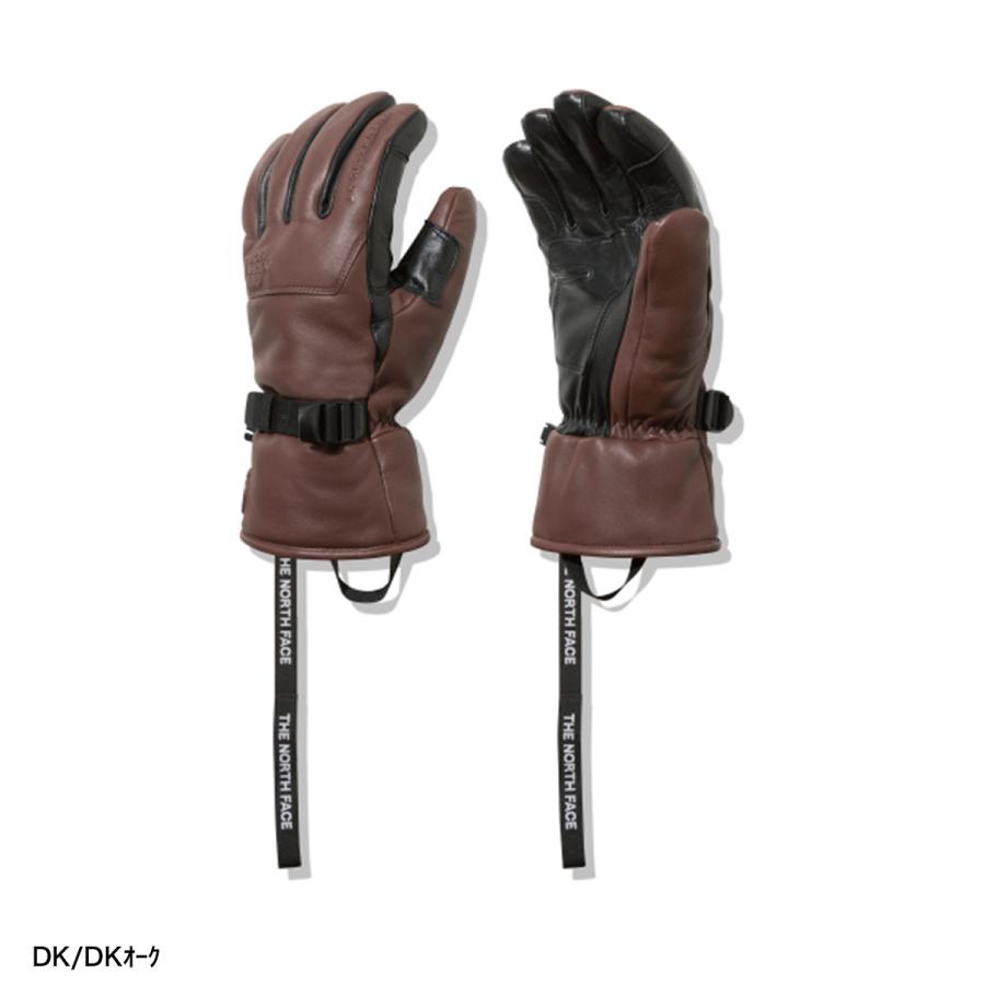 THE NORTH FACE（ザ ノースフェイス） スキー グローブ メンズ