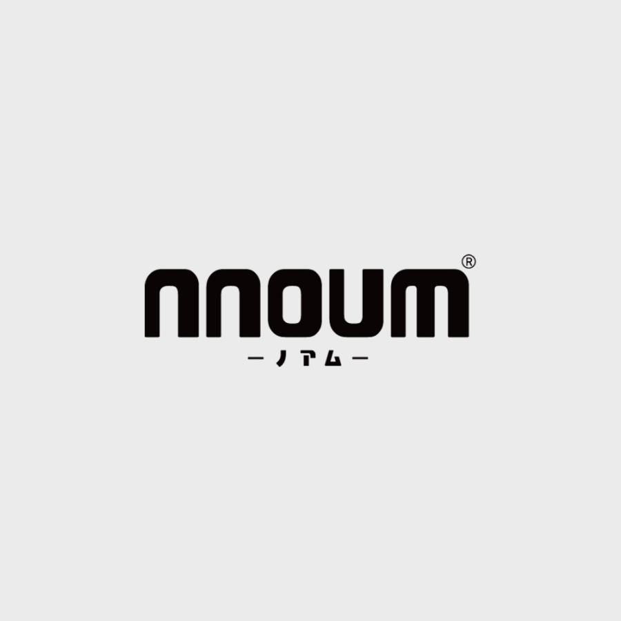 スキー アンダーシャツ ウェア レディース 防寒 保温 NNOUM ノアム 裏起毛 ストレッチ スノボ 登山 アウトドア インナーウェア 冷え対策 | NNOUM | 14