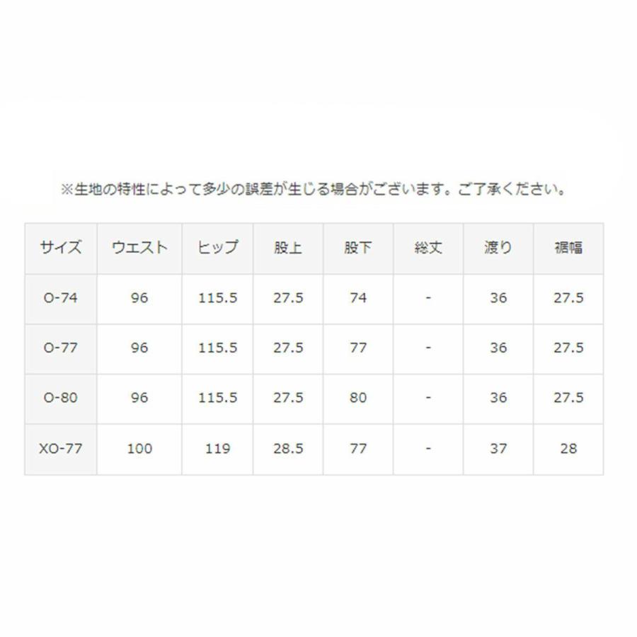 DESCENTE（デサント） スキーウェア スキーパンツ メンズ レディース