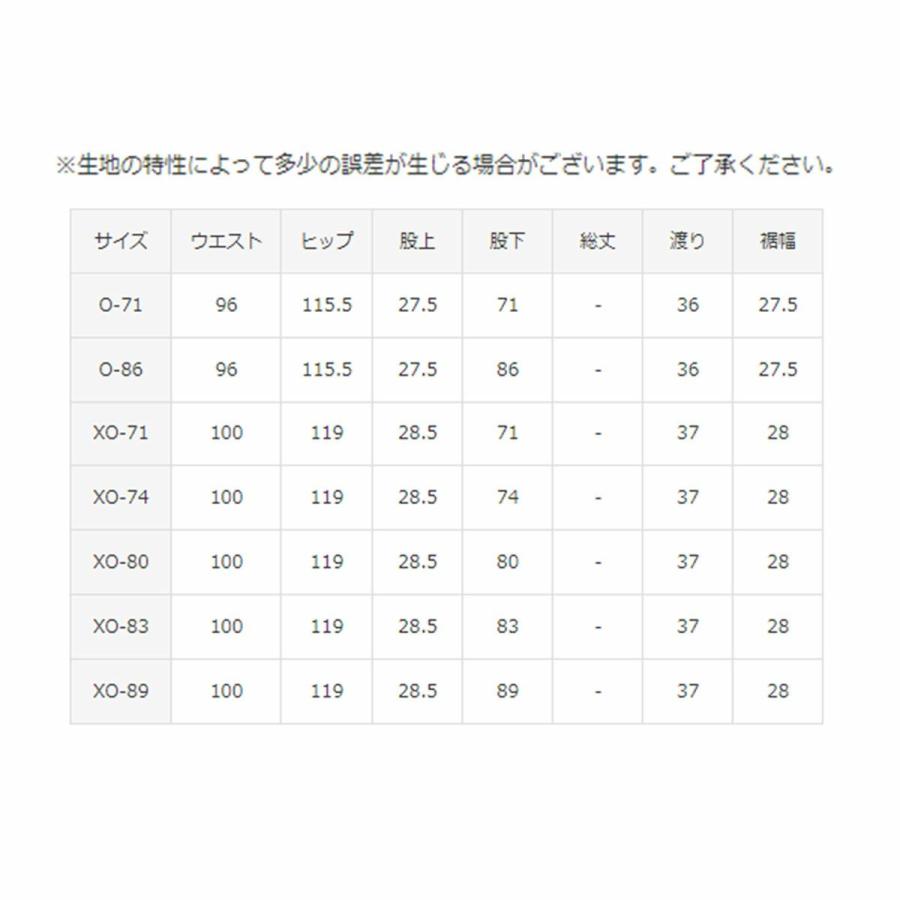 DESCENTE（デサント） スキーウェア スキーパンツ パンツ メンズ