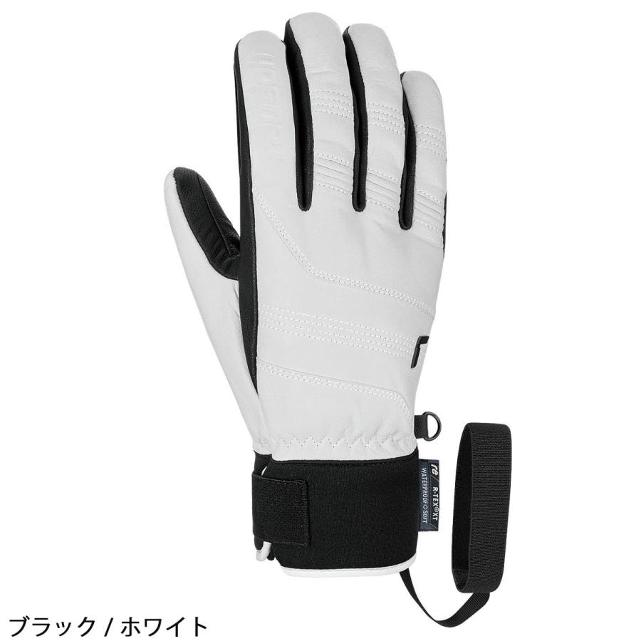 reusch（ロイシュ） スキーグローブ メンズ レディース HIGHLAND R-TEX