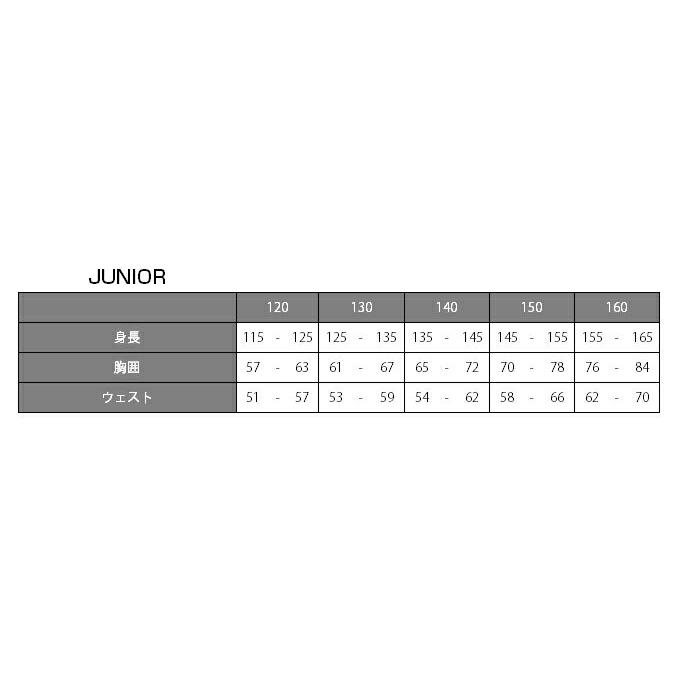 MIZUNO（ミズノ） スキーウェア キッズ スノーウェア ジュニア 上下