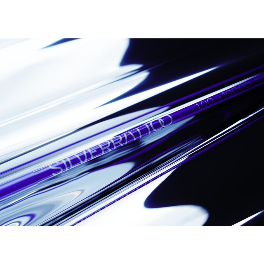 S1LVERRAT1OO シルバーラティオ スキー ポール ストック 2025