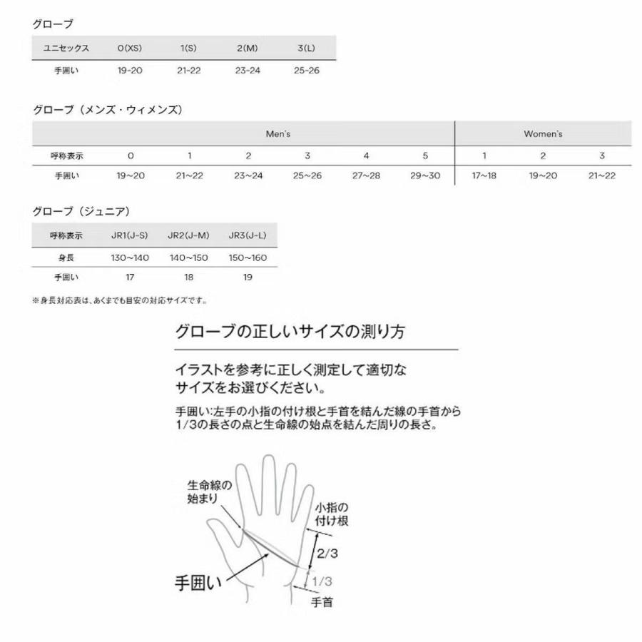 GOLDWIN（ゴールドウイン） スキーグローブ メンズ＜2027＞G85302