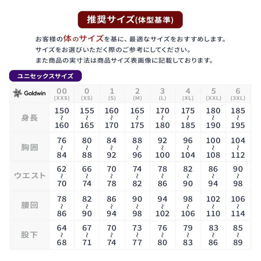 GOLDWIN（ゴールドウイン） スキーウェア パンツ メンズ＜2026＞G35353