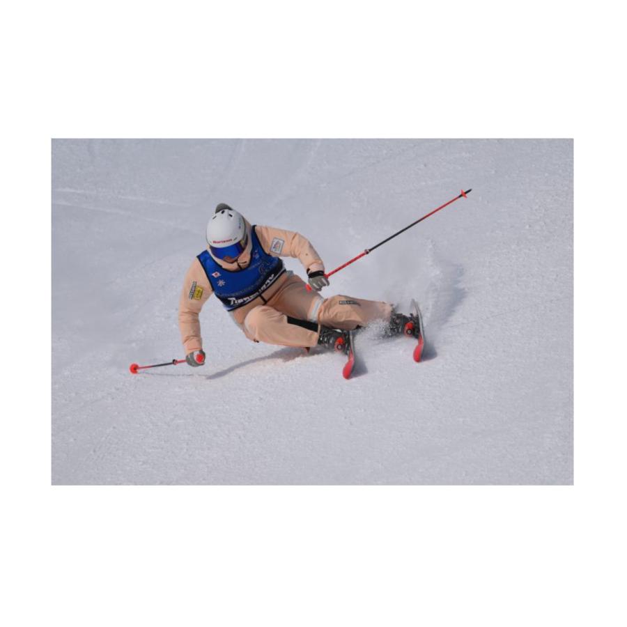 グラフィック 技術選 2025 DVD 最高難度のターンテクニックを競う 第62