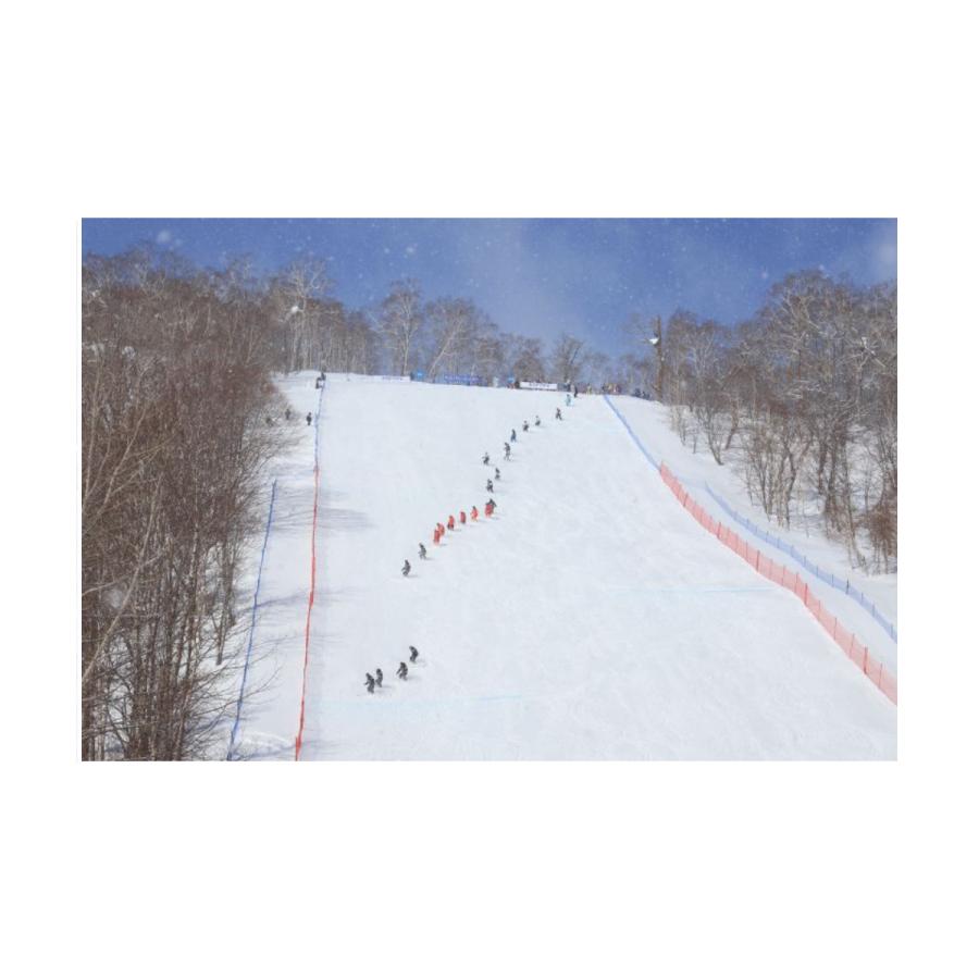 グラフィック 技術選 2025 DVD 最高難度のターンテクニックを競う 第62