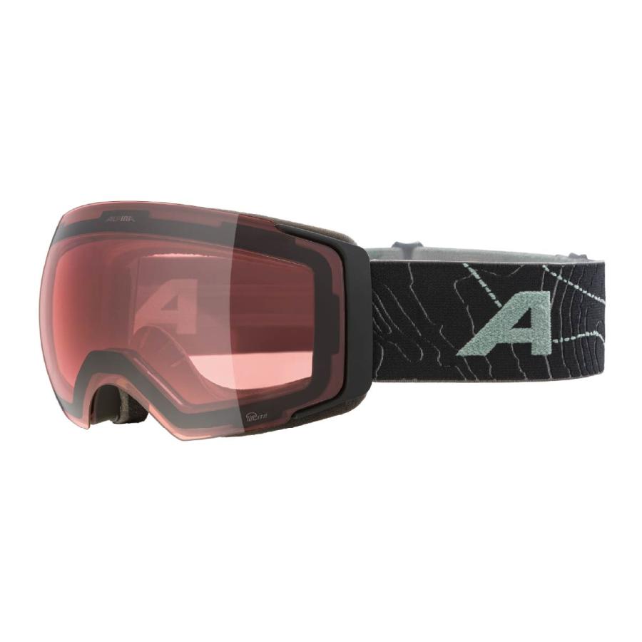 ALPINA（アルピナ） スキーゴーグル メンズ レディース＜2026＞A7311.8