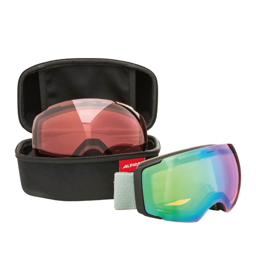 ALPINA（アルピナ） スキーゴーグル メンズ レディース＜2026＞A7311.8