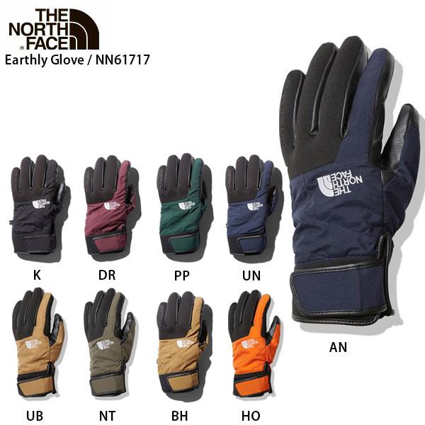 グローブ THE NORTH FACE ザ 送料無料 ノースフェイス 2021 Earthly オンライン限定商品 NN61717 Glove 旧モデル