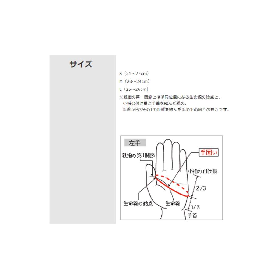 スキー グローブ メンズ レディース MIZUNO ミズノ ＜2024＞ LEATHER 3 FINGER GLOVES Z2JY9502 | MIZUNO | 06