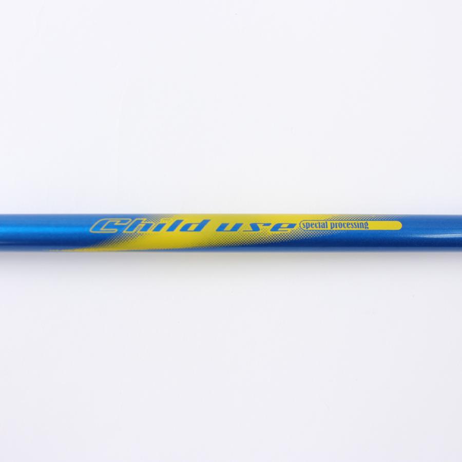 スワロー SWALLOW スキー ポール・ストック ジュニア キッズ＜2022