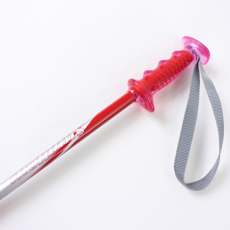 スワロー 【エントリーでP最大17倍！1日まで】SWALLOW スキー ポール