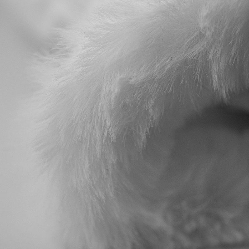 REUSCH ロイシュ スキーグローブ レディース＜2026＞LUNA R-TEX XT / ルナ R-TEX XT / 6231244  日本正規品 | reusch | 16