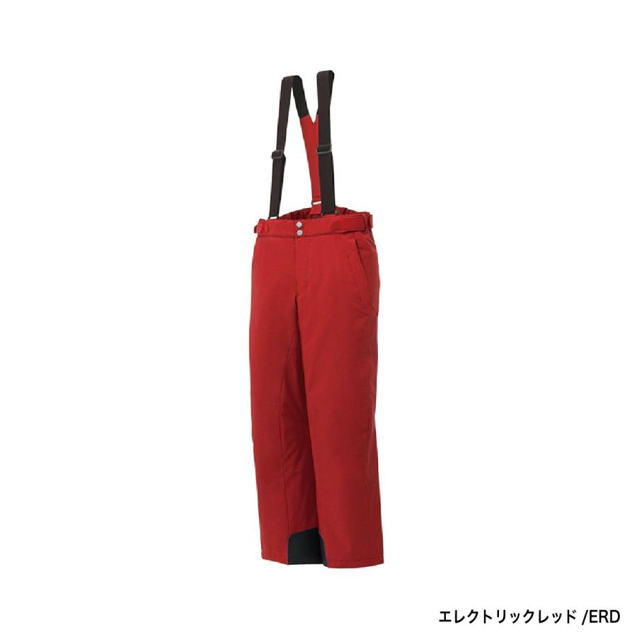 DESCENTE デサント スキーウェア スキーパンツ パンツ メンズ DESCENTE デサント スキーウェア スキーパンツ パンツ メンズ
