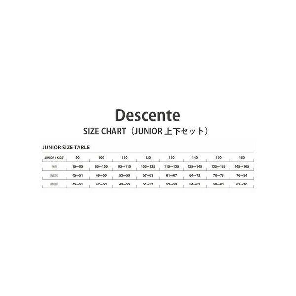 DESCENTE スキーウェア キッズ スノーウェア ジュニア デサント DESCENTE スキーウェア キッズ スノーウェア ジュニア デサント