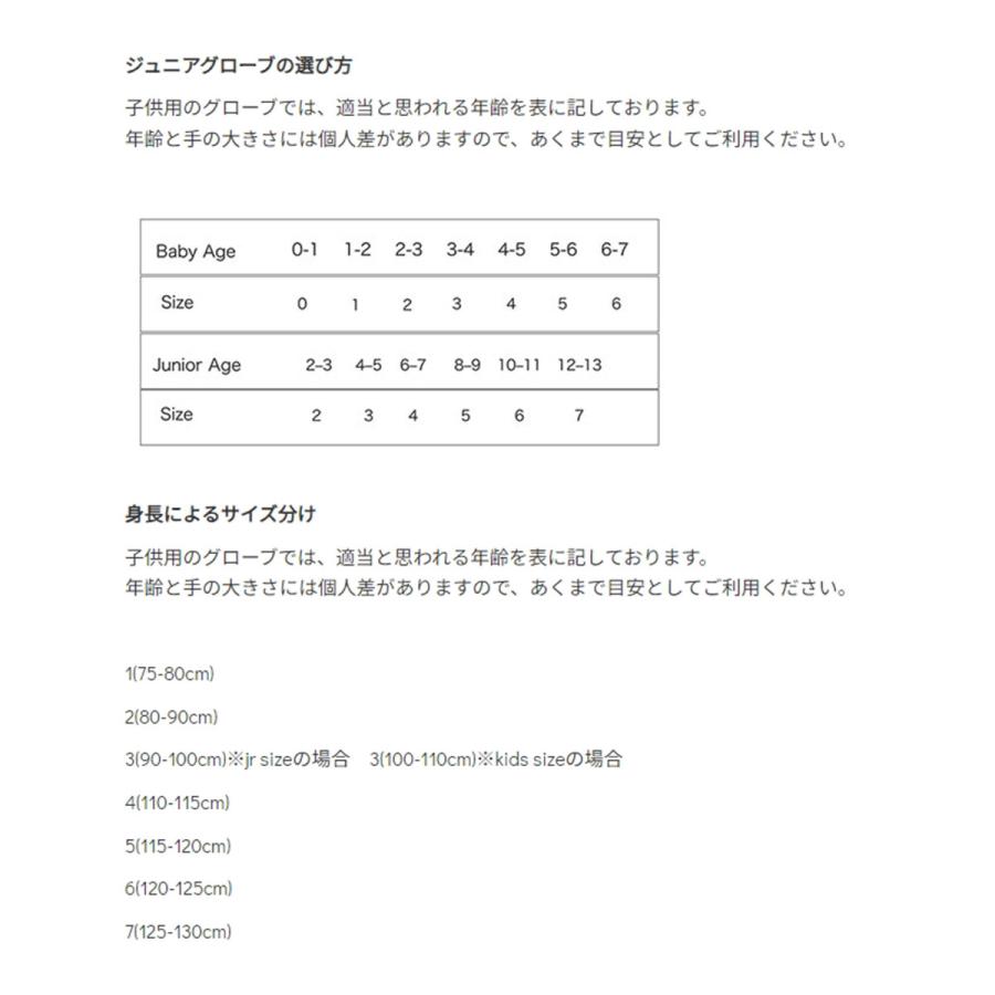 HESTRA（ヘストラ） スキー インナーグローブメンズ レディース
