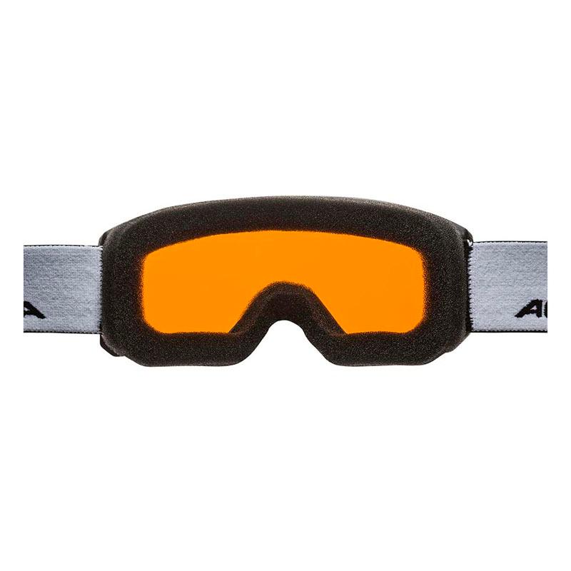ALPINA（アルピナ） スキーゴーグル キッズ スキー ゴーグル ジュニア