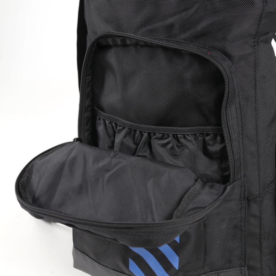 SWIX（スウィックス） スキー バッグ ケース ＜2027＞ スロープバック