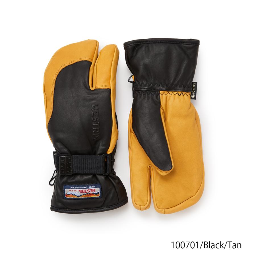 HESTRA（ヘストラ） 【エントリーでP最大17倍！19日〜】HESTRA スキー