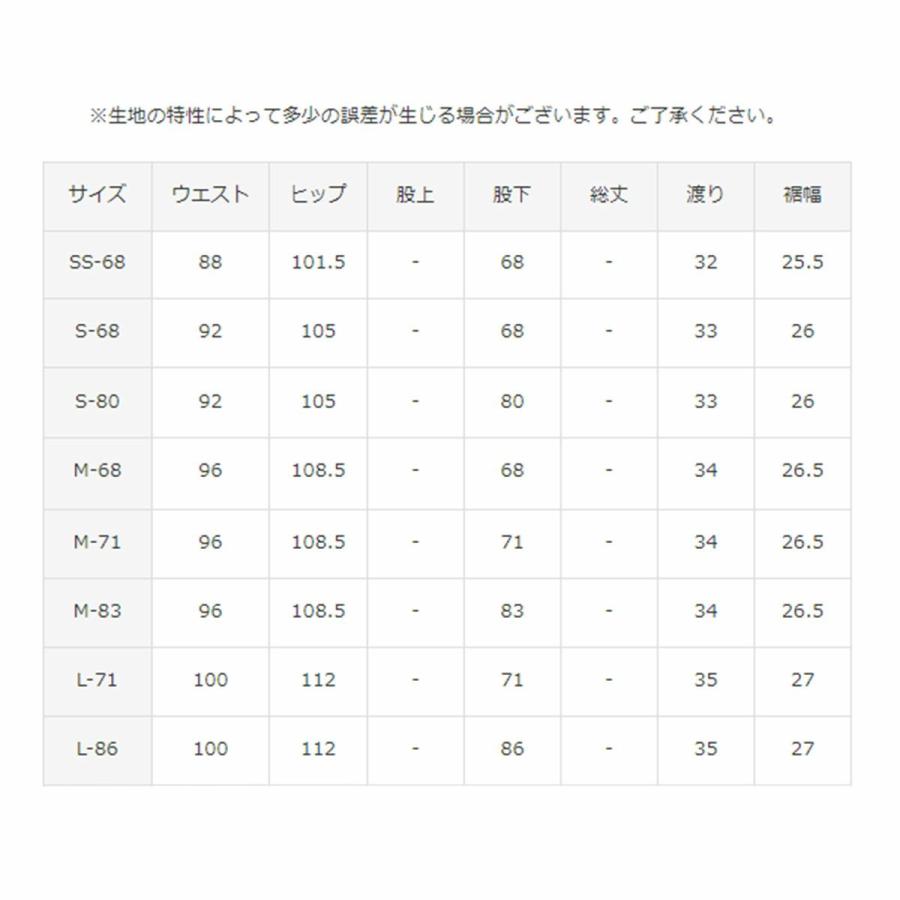 DESCENTE（デサント） スキーウェア スキーパンツ パンツ メンズ