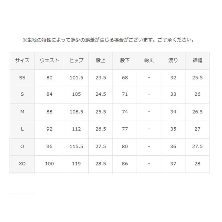 DESCENTE（デサント） スキーウェア スキーパンツ パンツ メンズ