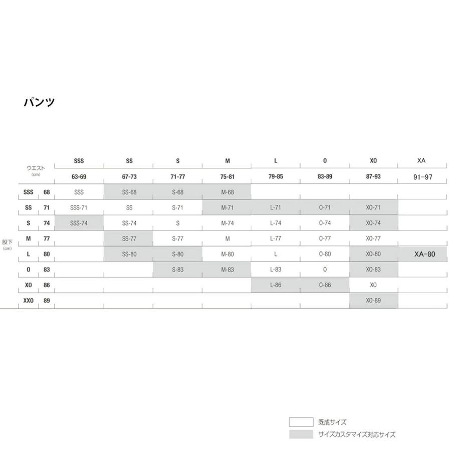 DESCENTE（デサント） スキーウェア スキーパンツ パンツ メンズ