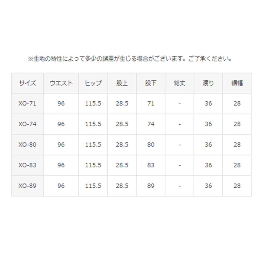 デサント スキーパンツ スキーウェア DESCENTE メンズ レディース  