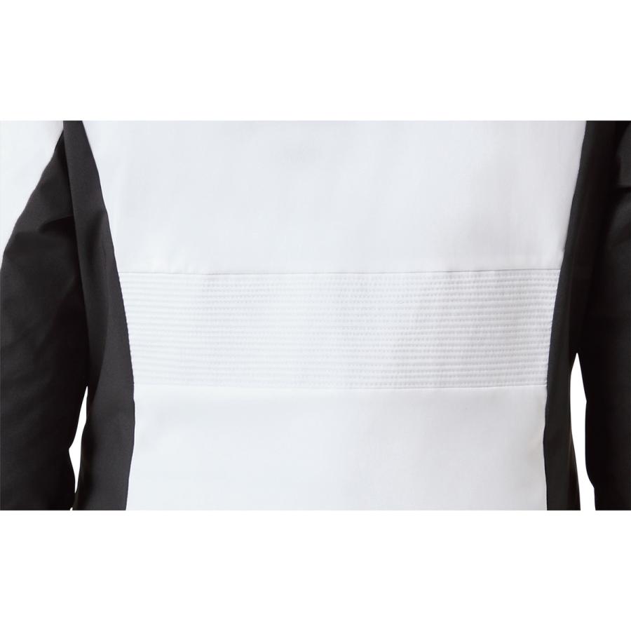 DESCENTE スキーウェア レディース スキージャケット デサント DESCENTE スキーウェア レディース スキージャケット デサント