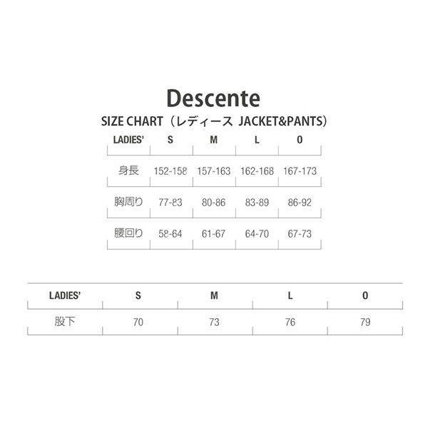 エントリでP+4％!3/10限定! DESCENTE デサント スキー ウェア 上下