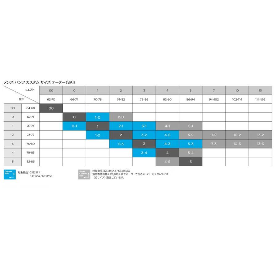 GOLDWIN（ゴールドウイン） 【エントリーでP最大17倍！1日まで】スキー