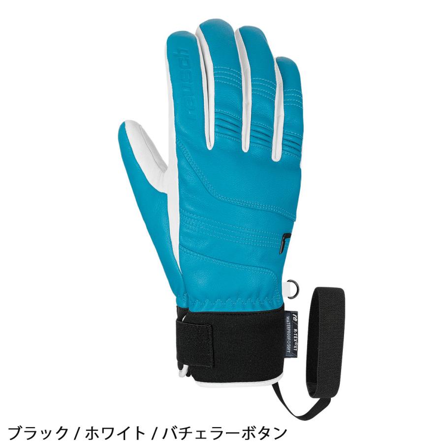 reusch（ロイシュ） スキーグローブ メンズ レディース HIGHLAND R-TEX