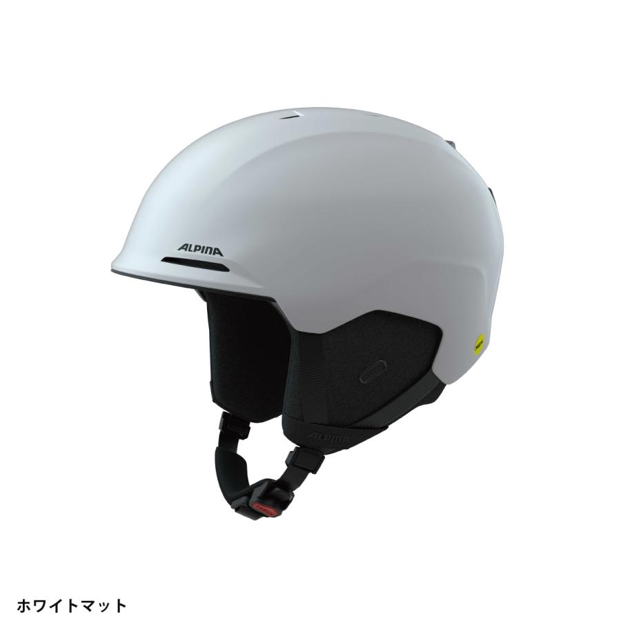 ALPINA（アルピナ） 【22日限定！全品P10倍！】ALPINA スキー