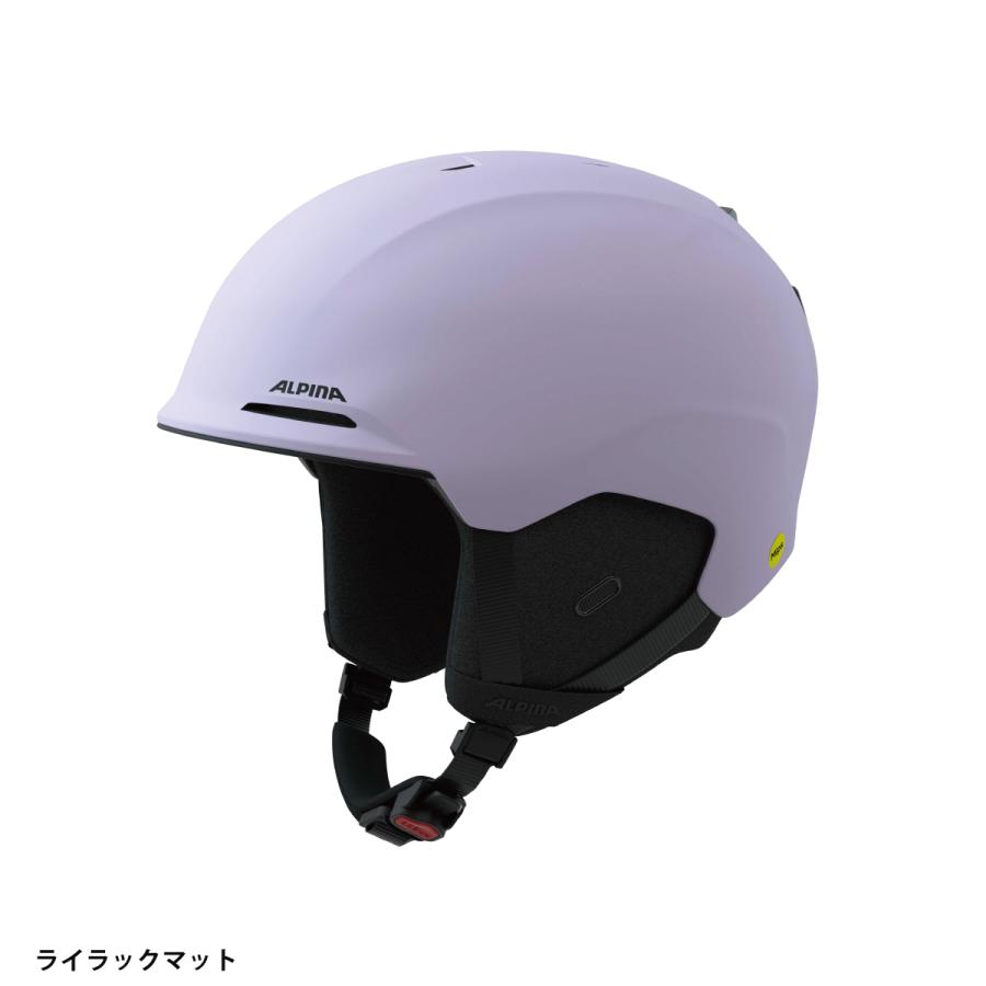 ALPINA（アルピナ） 【25日限定！全品P10倍！】ALPINA スキー