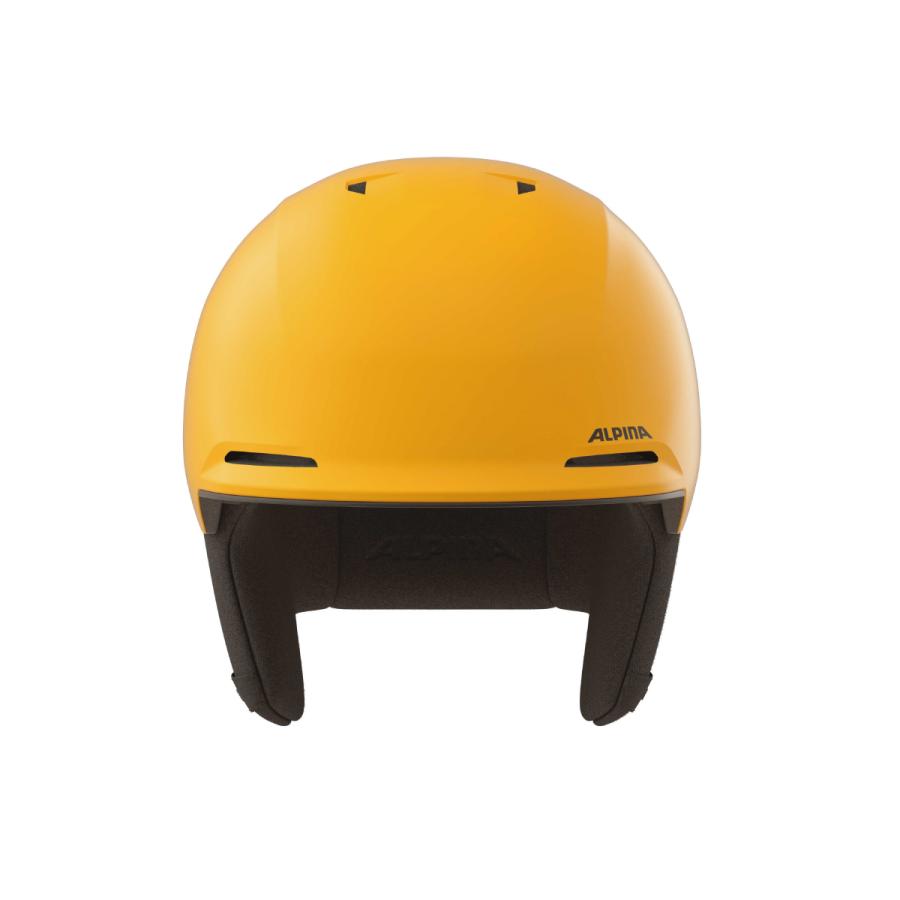 ALPINA（アルピナ） 【22日限定！全品P10倍！】ALPINA スキー